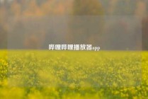 哔哩哔哩播放器app