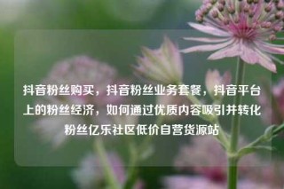 抖音粉丝购买，抖音粉丝业务套餐，抖音平台上的粉丝经济，如何通过优质内容吸引并转化粉丝亿乐社区低价自营货源站