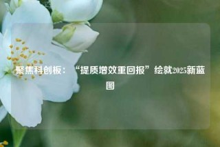 聚焦科创板：“提质增效重回报”绘就2025新蓝图