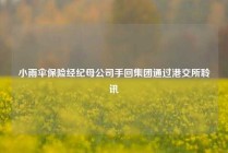 小雨伞保险经纪母公司手回集团通过港交所聆讯