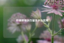哔哩哔哩创作服务平台官网