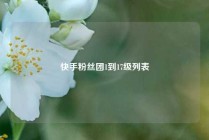 快手粉丝团1到17级列表