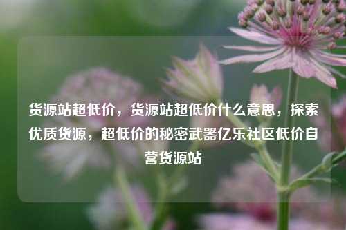 货源站超低价，货源站超低价什么意思	，探索优质货源，超低价的秘密武器亿乐社区低价自营货源站  第1张