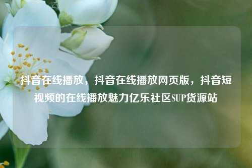 抖音在线播放，抖音在线播放网页版，抖音短视频的在线播放魅力亿乐社区SUP货源站  第1张