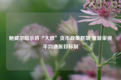鲍威尔暗示将“大修	”货币政策框架 重新审视平均通胀目标制  第1张