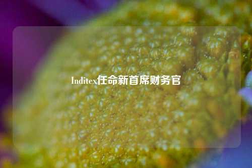 Inditex任命新首席财务官  第1张
