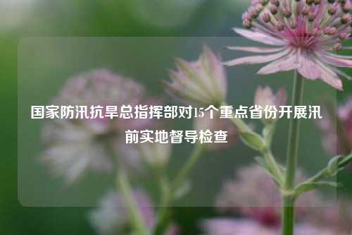国家防汛抗旱总指挥部对15个重点省份开展汛前实地督导检查  第1张