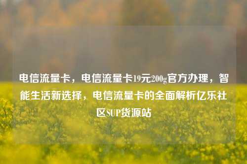 电信流量卡，电信流量卡19元200g官方办理	，智能生活新选择，电信流量卡的全面解析亿乐社区SUP货源站  第1张