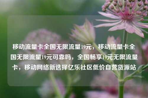 移动流量卡全国无限流量19元	，移动流量卡全国无限流量19元可靠吗，全国畅享19元无限流量卡，移动网络新选择亿乐社区低价自营货源站  第1张