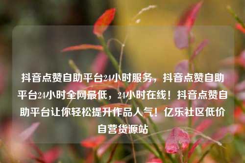 抖音点赞自助平台24小时服务，抖音点赞自助平台24小时全网最低，24小时在线！抖音点赞自助平台让你轻松提升作品人气！亿乐社区低价自营货源站  第1张