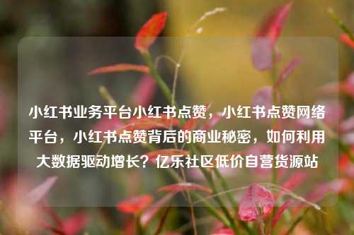 小红书业务平台小红书点赞，小红书点赞网络平台，小红书点赞背后的商业秘密	，如何利用大数据驱动增长？亿乐社区低价自营货源站  第1张