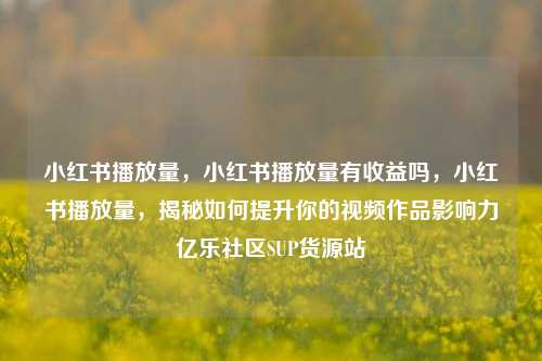 小红书播放量	，小红书播放量有收益吗，小红书播放量，揭秘如何提升你的视频作品影响力亿乐社区SUP货源站  第1张
