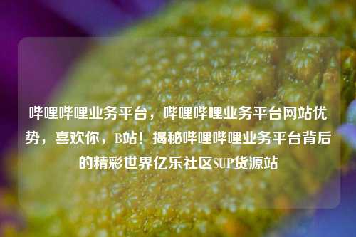 哔哩哔哩业务平台，哔哩哔哩业务平台网站优势，喜欢你	，B站！揭秘哔哩哔哩业务平台背后的精彩世界亿乐社区SUP货源站  第1张