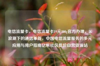 电信流量卡，电信流量卡19元200g官方办理，5G浪潮下的通信革新，中国电信流量服务的多元应用与用户指南亿乐社区低价自营货源站