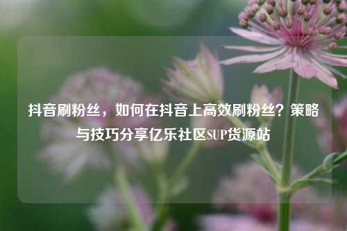 抖音刷粉丝	，如何在抖音上高效刷粉丝？策略与技巧分享亿乐社区SUP货源站  第1张