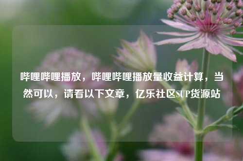 哔哩哔哩播放，哔哩哔哩播放量收益计算	，当然可以，请看以下文章，亿乐社区SUP货源站  第1张