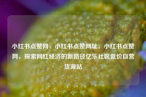 小红书点赞网，小红书点赞网址，小红书点赞网	，探索网红经济的新路径亿乐社区低价自营货源站  第1张
