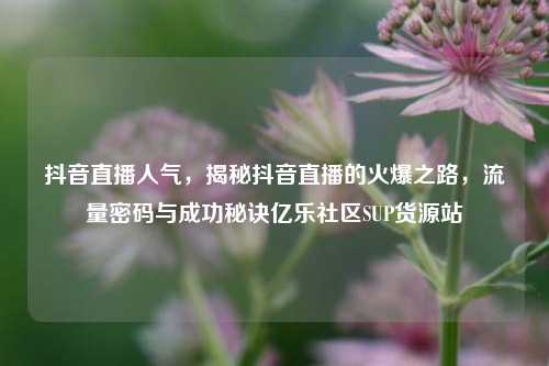 抖音直播人气，揭秘抖音直播的火爆之路，流量密码与成功秘诀亿乐社区SUP货源站  第1张