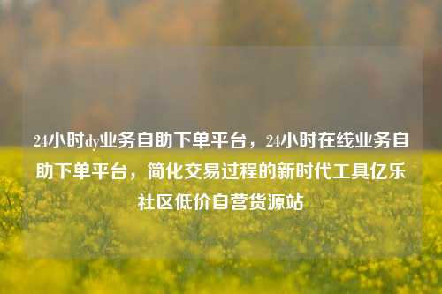 24小时dy业务自助下单平台	，24小时在线业务自助下单平台，简化交易过程的新时代工具亿乐社区低价自营货源站  第1张