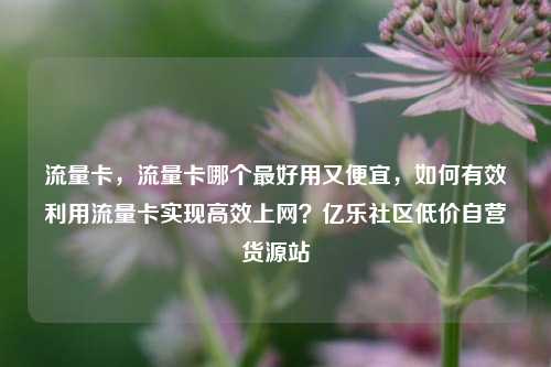 流量卡，流量卡哪个最好用又便宜	，如何有效利用流量卡实现高效上网？亿乐社区低价自营货源站  第1张