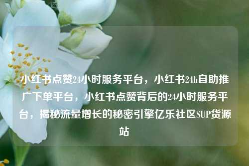 小红书点赞24小时服务平台	，小红书24h自助推广下单平台，小红书点赞背后的24小时服务平台，揭秘流量增长的秘密引擎亿乐社区SUP货源站  第1张